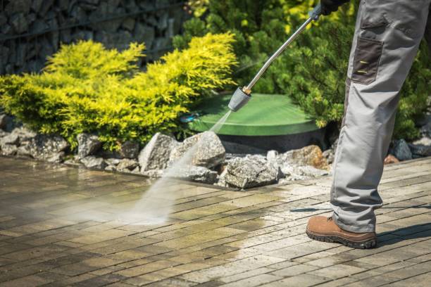 Best Pre-Holiday Cleaning  in Olmsted Falls, OH